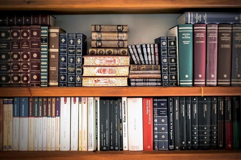college, university